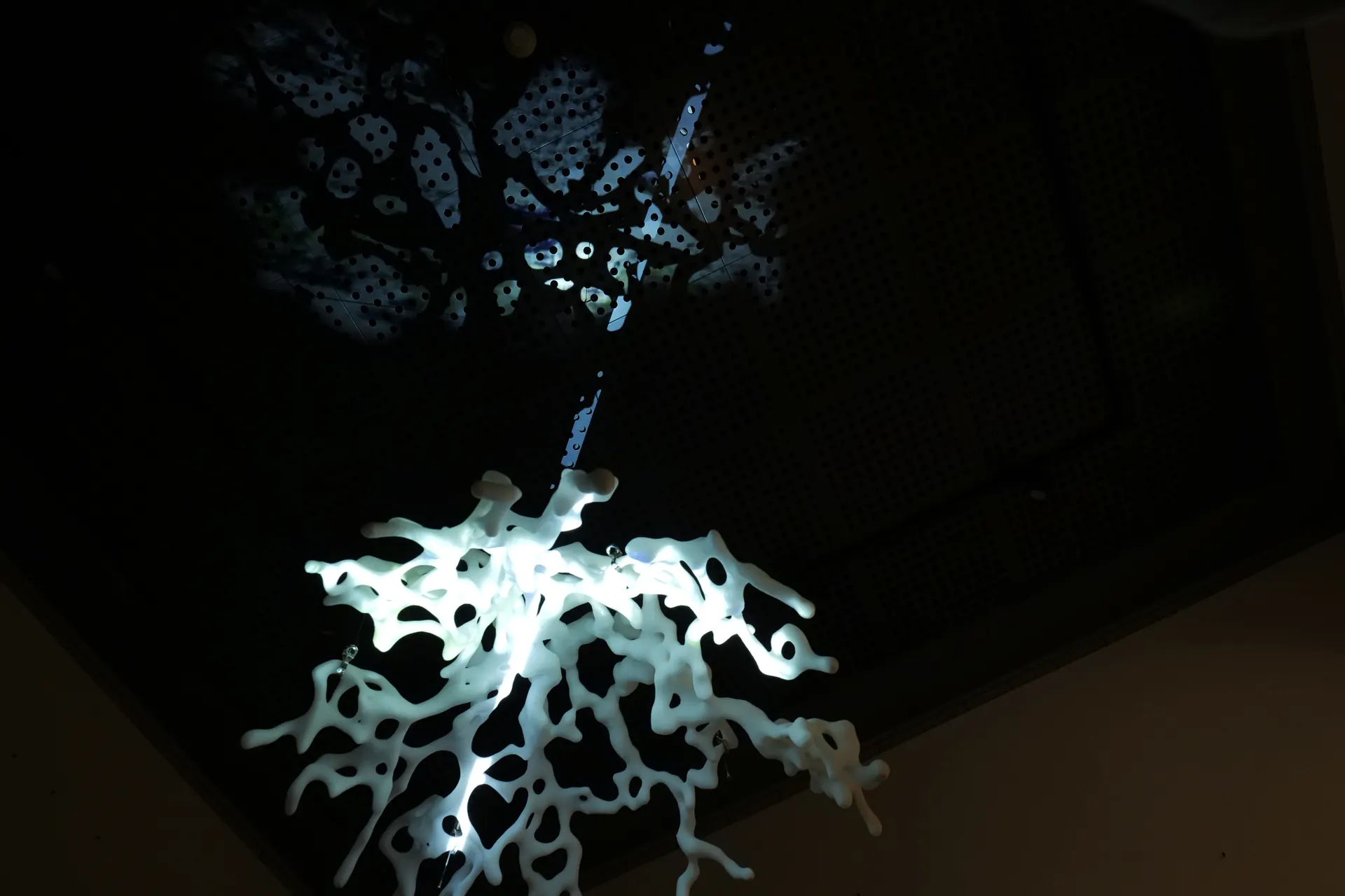 Agnosia: Pseudo-simulation
