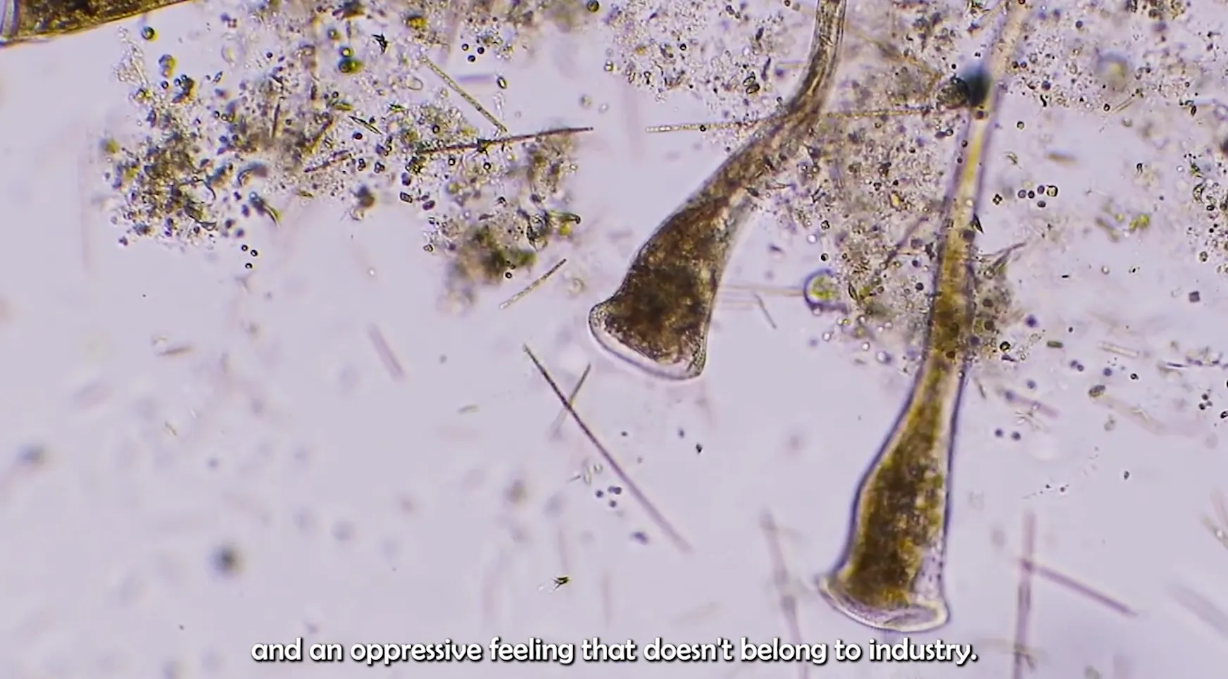 we are all organism